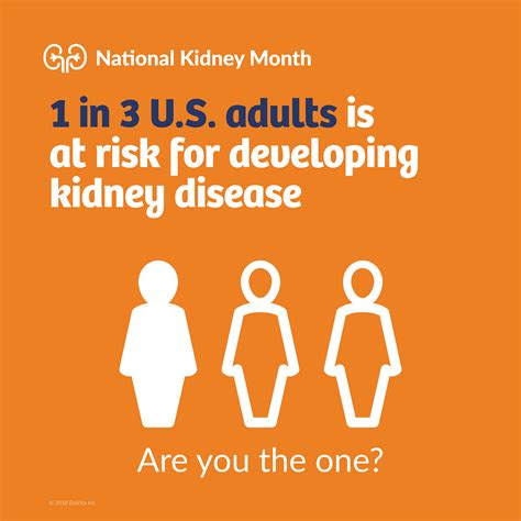 Kidney Hill Watch: Taking the Guesswork out of Kidney Health Monitoring